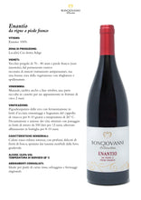 Carica l'immagine nel visualizzatore di Gallery, Enantio